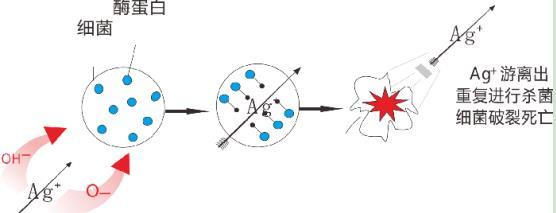 龍勝三層納米抗菌水管有效嗎？配圖解原理，99.99%抗菌率不是蓋的！