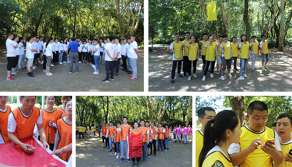 龍勝管拓展訓(xùn)練燃爆夏日，我們“激情不減，活力無限”