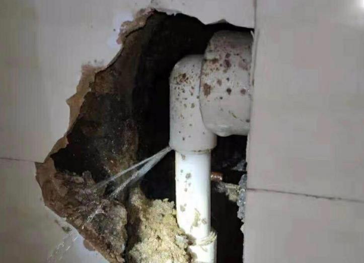 公元水管漏水包賠嗎？選購時(shí)別光看牌子！還得看它！