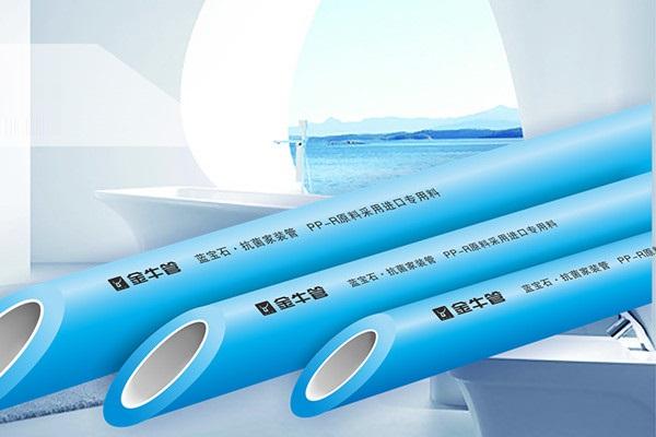 金牛管總代理需要多少錢？乖乖！這你怎么選？