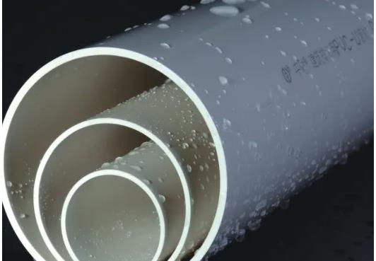 中財區(qū)域代理是什么意思？中財代理需要多少錢？